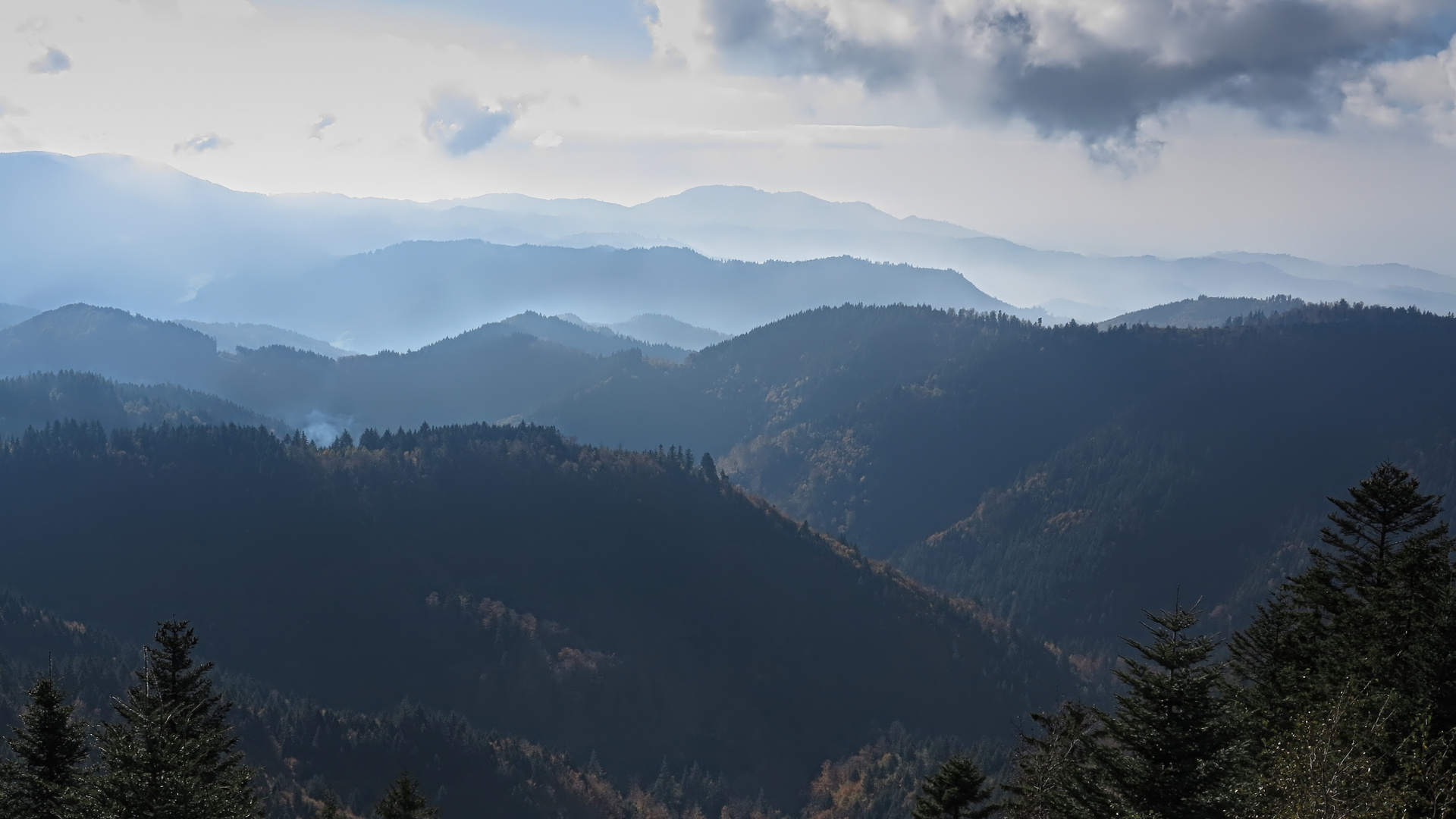 Schwarzwald Impressionen 2