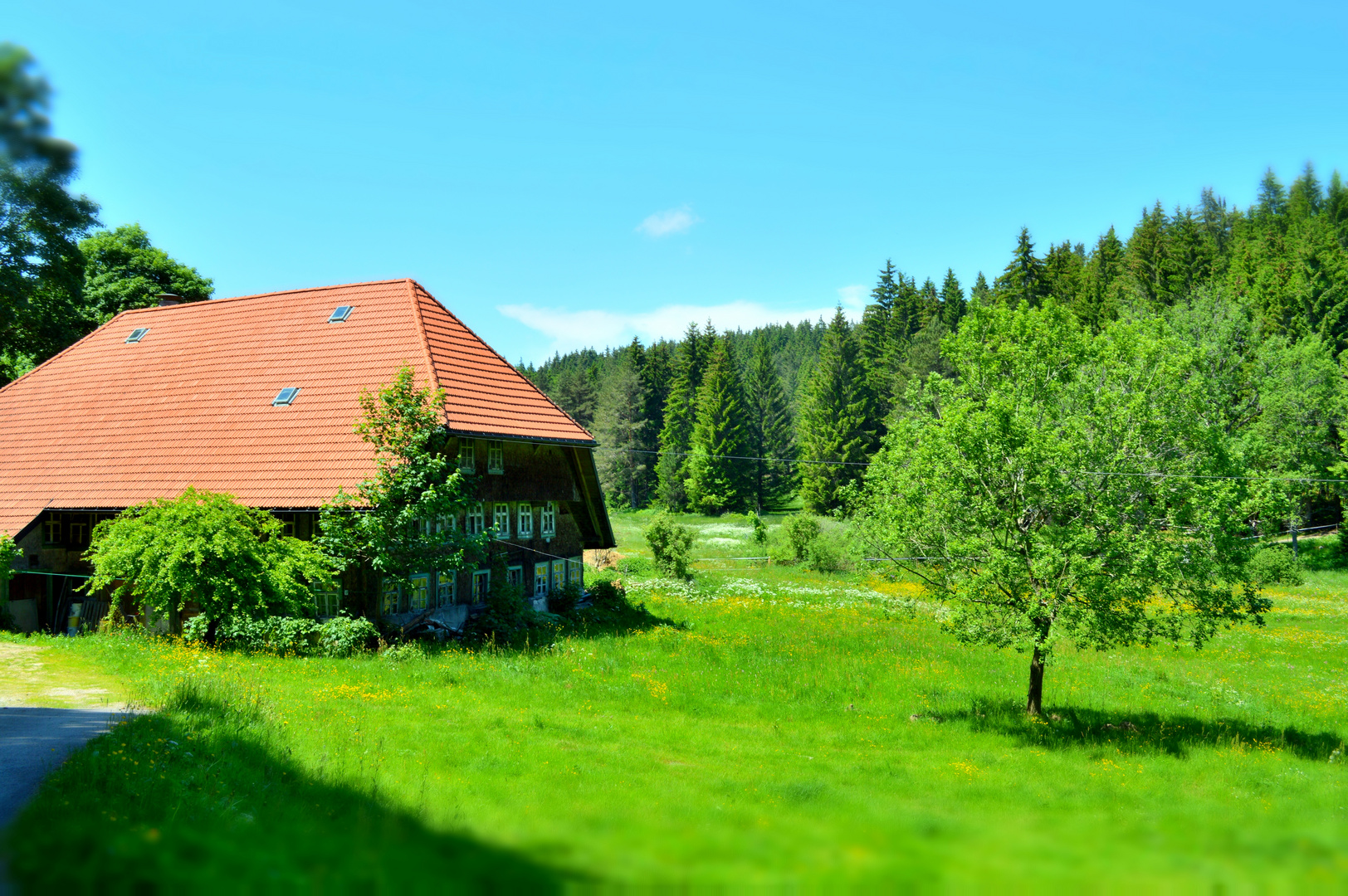 Schwarzwald impressionen...