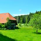 Schwarzwald impressionen...