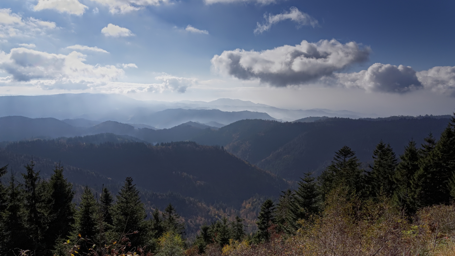 Schwarzwald Impressionen