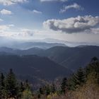 Schwarzwald Impressionen