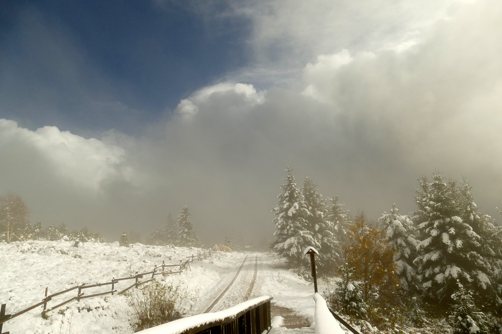 °°°° Schwarzwald-Impressionen °°°°