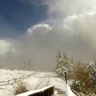 °°°° Schwarzwald-Impressionen °°°°