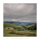 *** Schwarzwald Impressionen ***