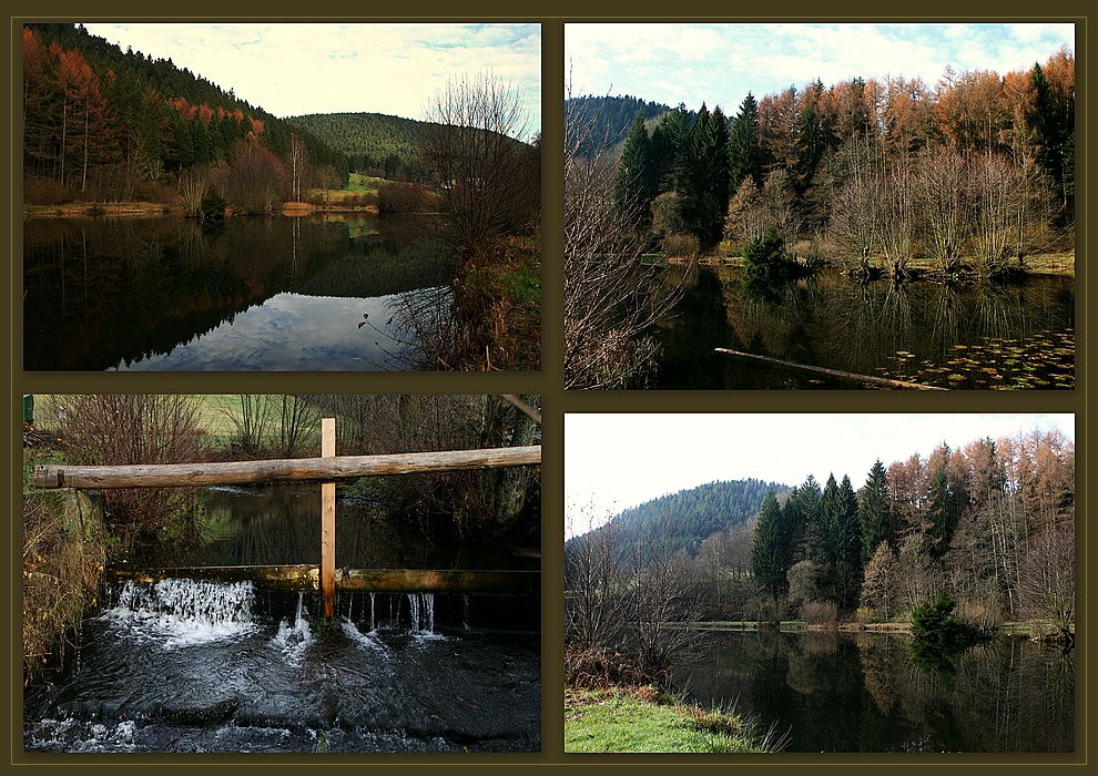 Schwarzwald  - Impressionen -