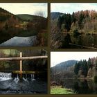 Schwarzwald  - Impressionen -