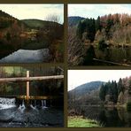 Schwarzwald  - Impressionen -