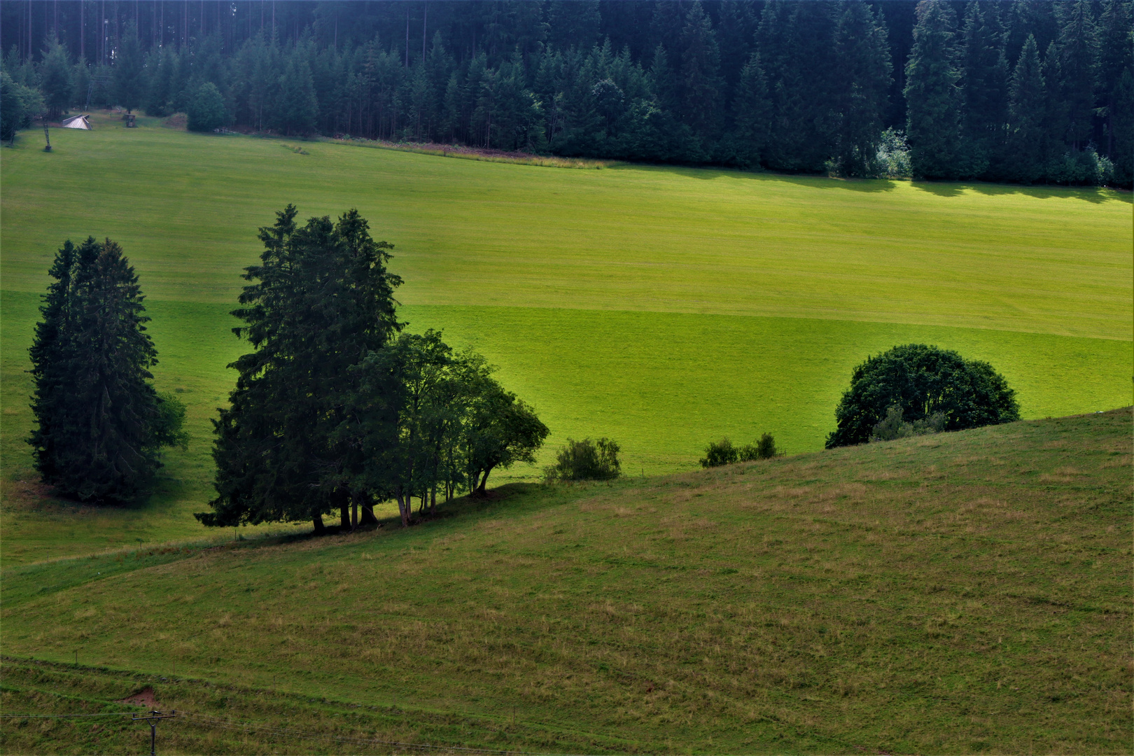 Schwarzwald Impressionen Juni 2022