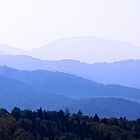 Schwarzwald in Blau