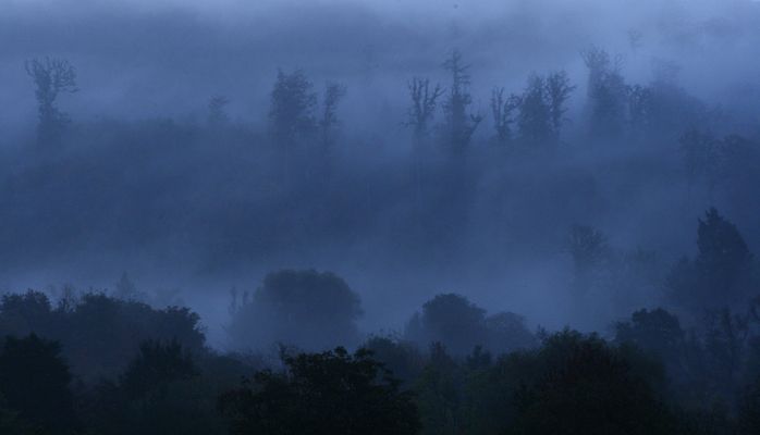 Schwarzwald in Blau gehüllt