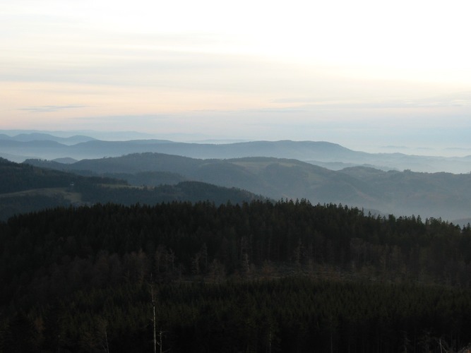 Schwarzwald in der Dämmerung
