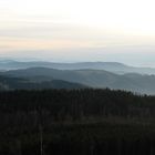 Schwarzwald in der Dämmerung