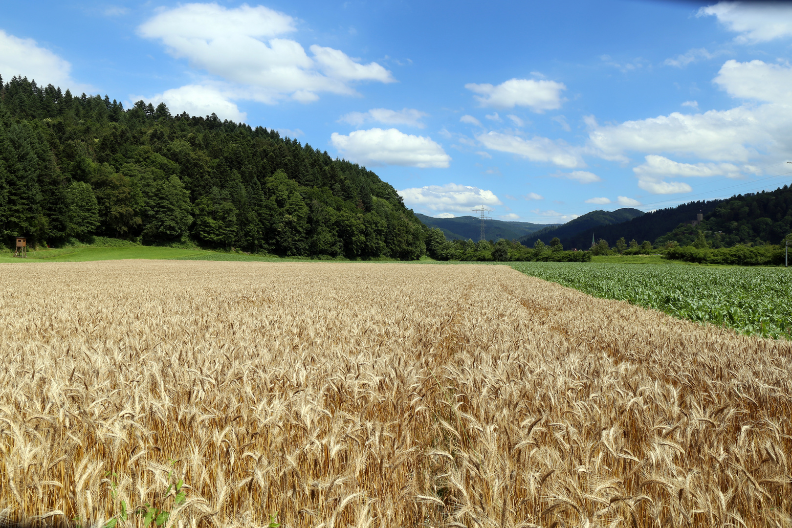 Schwarzwald in die nahe von Hausach