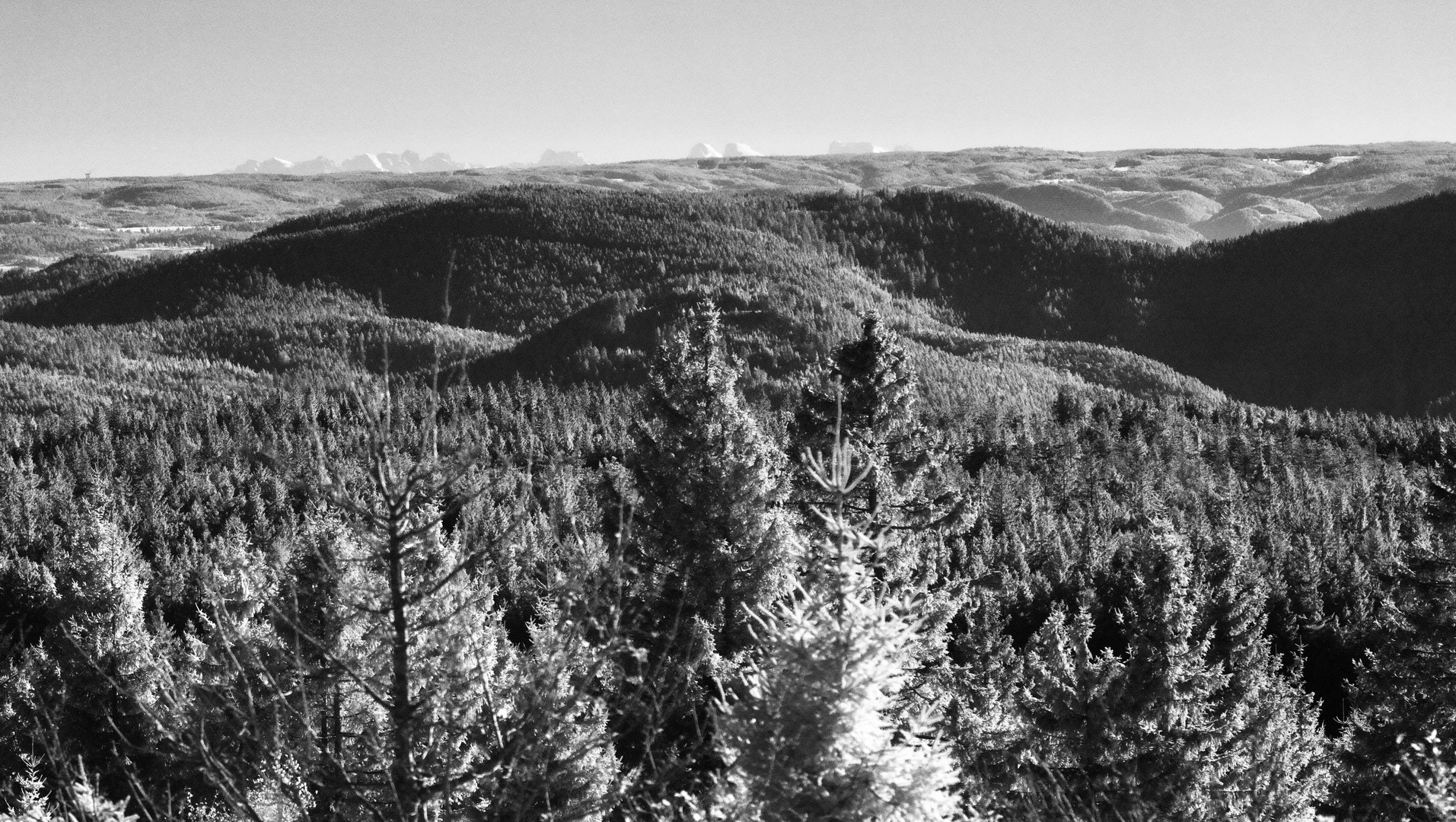 Schwarzwald in IR mit Alpengipfeln