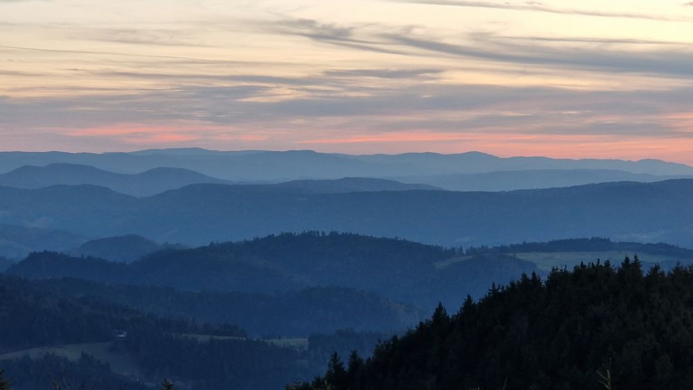 SCHWARZWALD in pastell