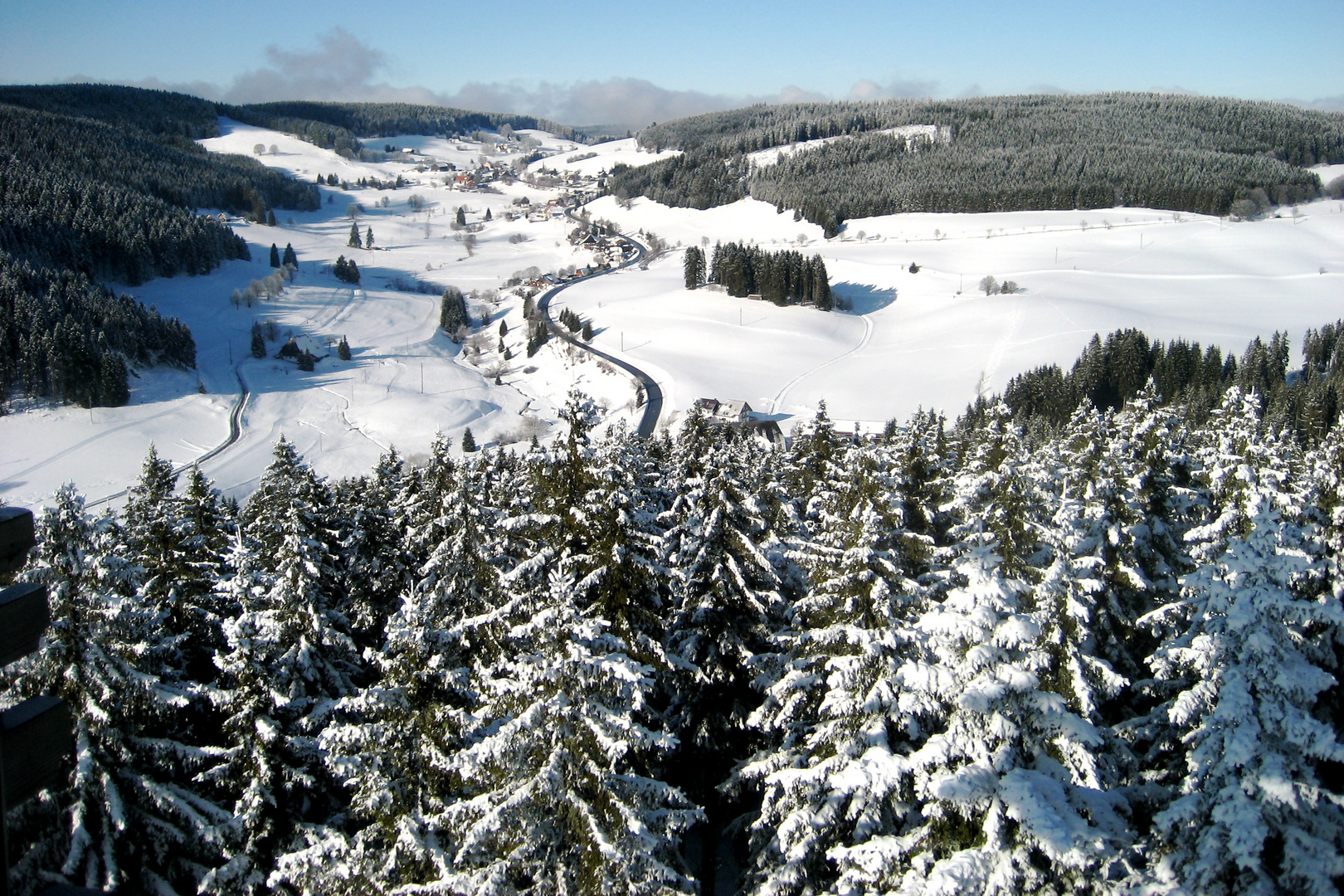 Schwarzwald in Weiß