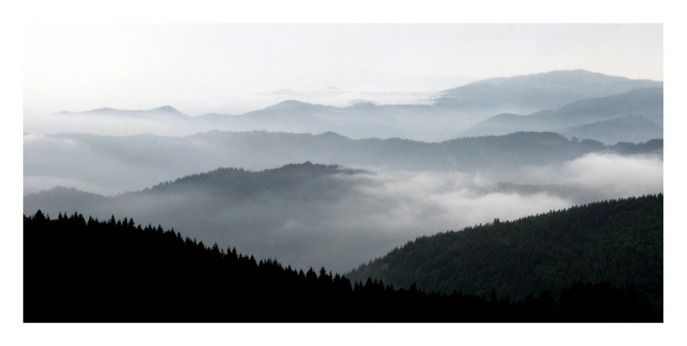 Schwarzwald-Konturen