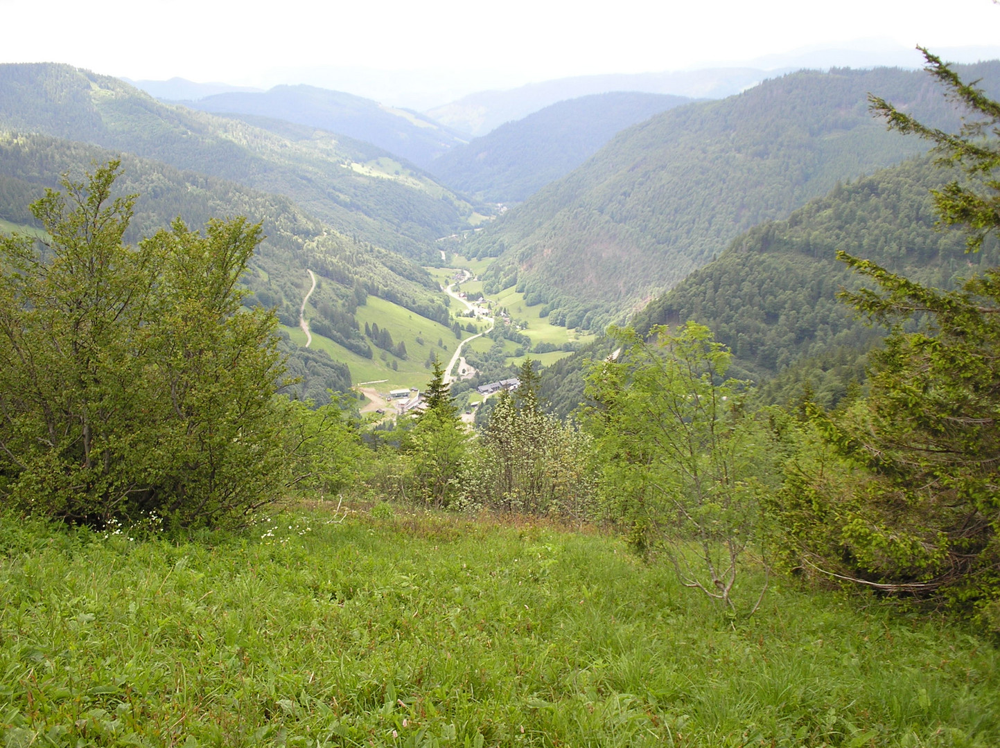 Schwarzwald landschaft