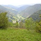 Schwarzwald landschaft