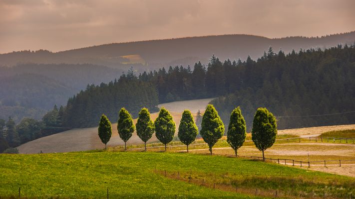 Schwarzwald Landschaft