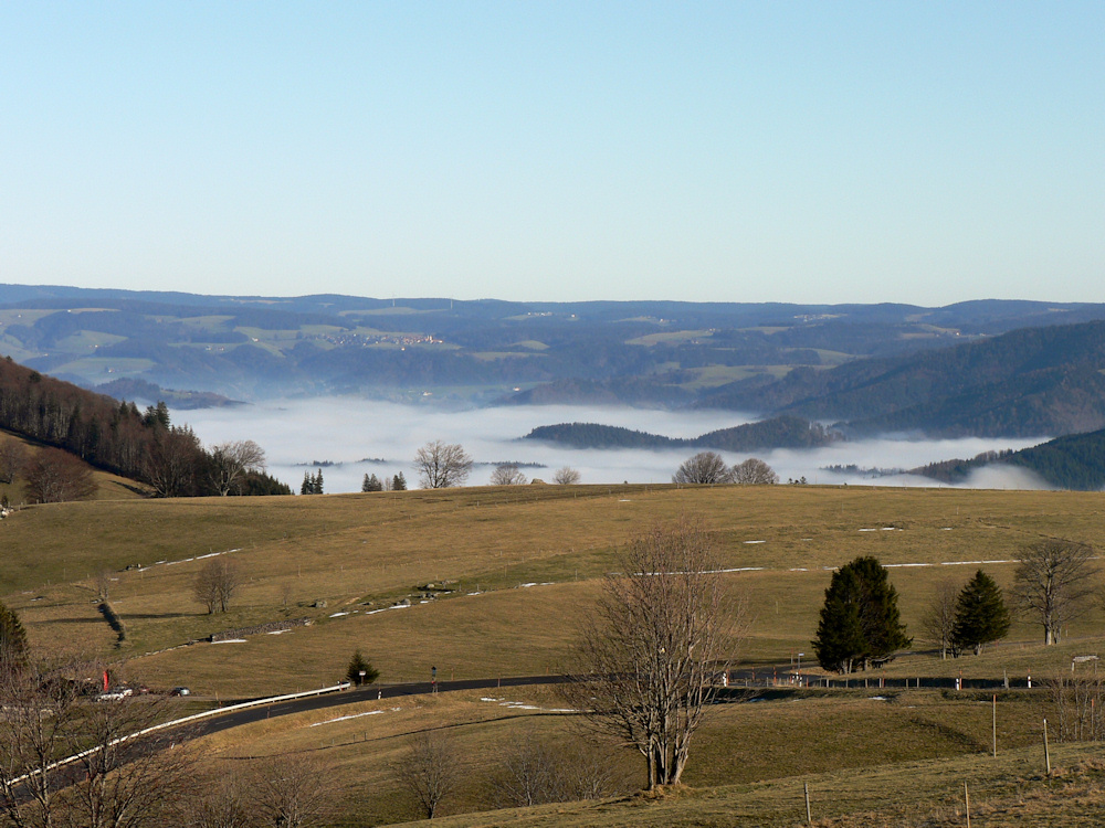 Schwarzwald Landschaft