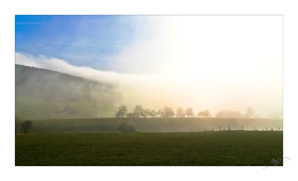 Schwarzwald-Landschaft im Morgennebel