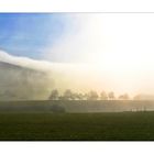 Schwarzwald-Landschaft im Morgennebel