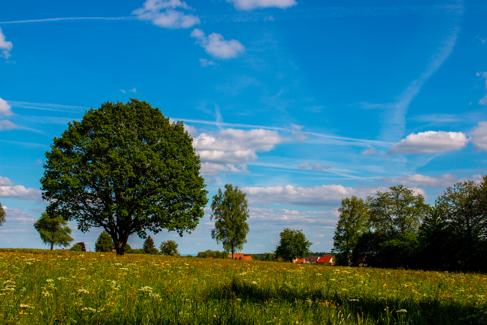 Schwarzwald mal anders