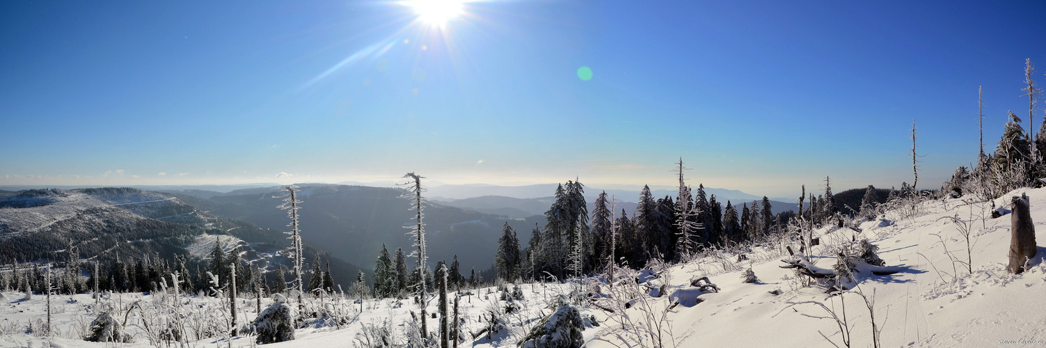 Schwarzwald mal weiß...