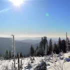 Schwarzwald mal weiß...