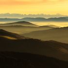 Schwarzwald mit Alpensicht