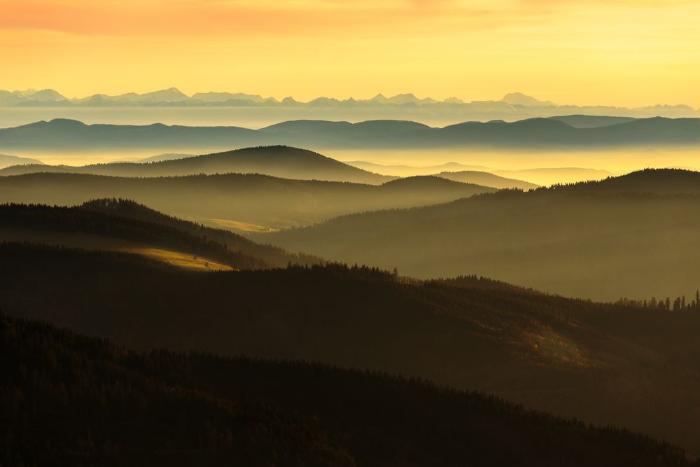 Schwarzwald mit Alpensicht Foto Bild landschaft berge Schwarzwald mit Alpensicht Foto Bild landschaft berge