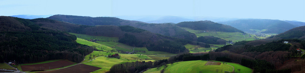 Schwarzwald mit milderen Hügeln