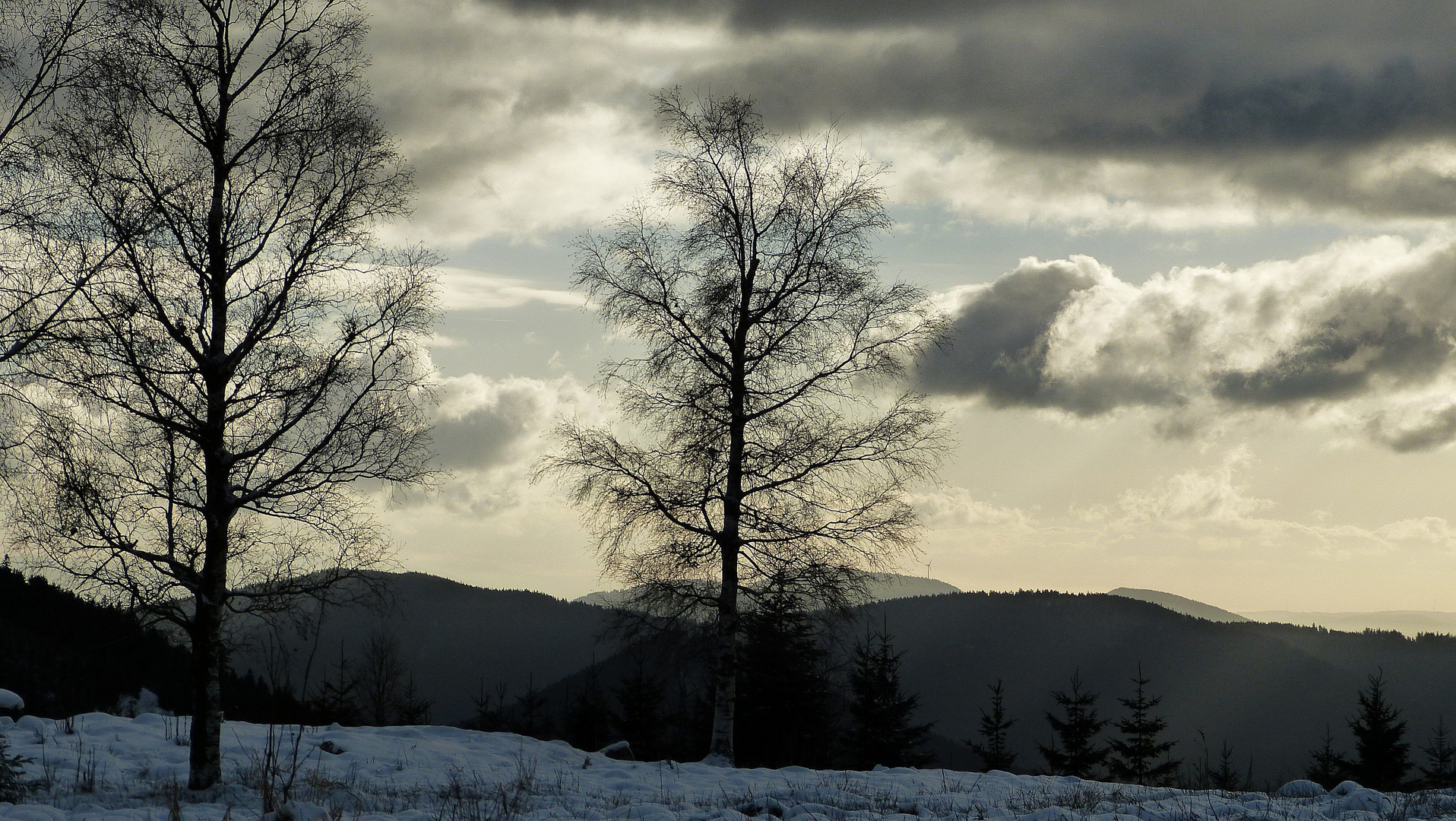 Schwarzwald Mitte Dezember 2013