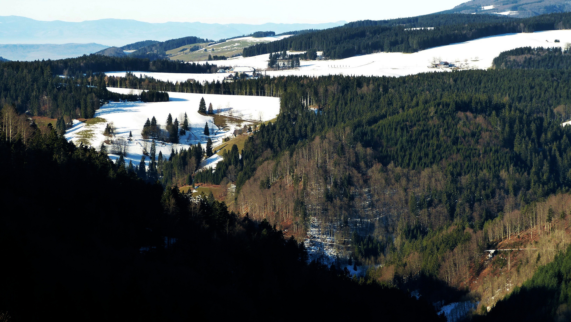 Schwarzwald Mitte Dezember 2013 -I