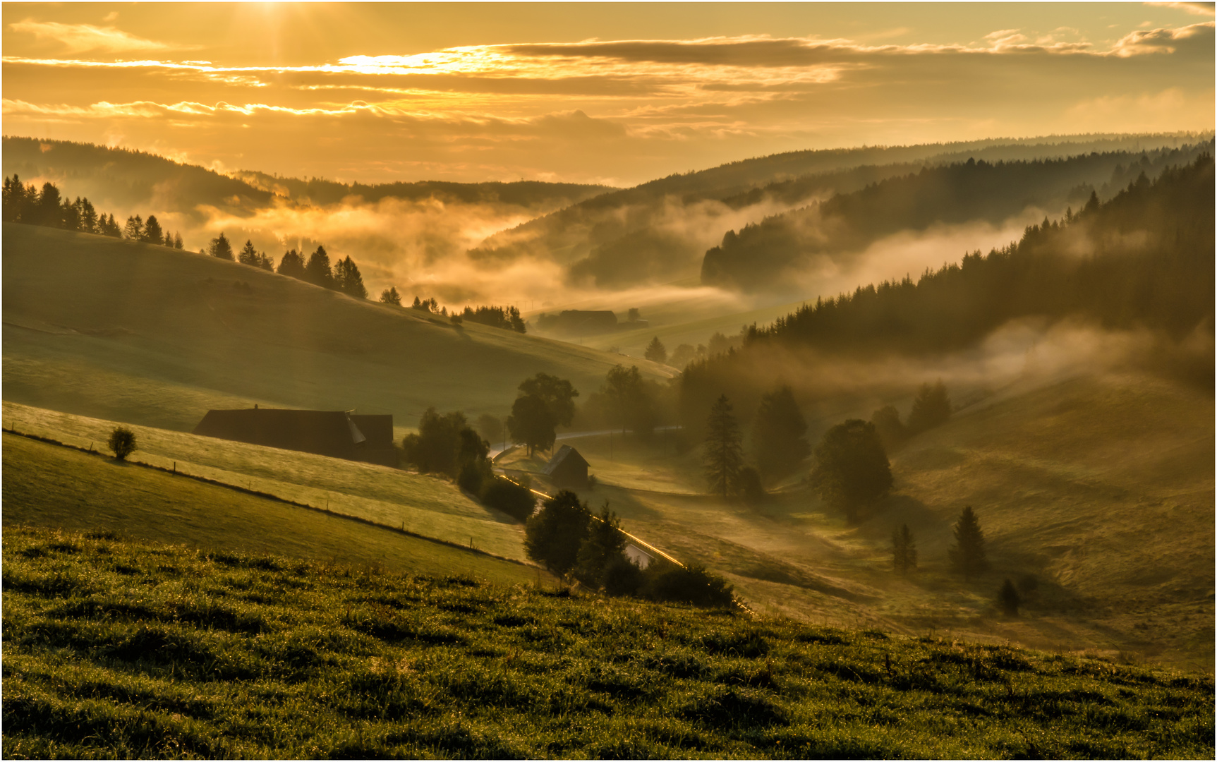 Schwarzwald - Morgenstimmung