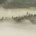 Schwarzwald Morgenstimmung