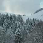 Schwarzwald Münstertal Winter