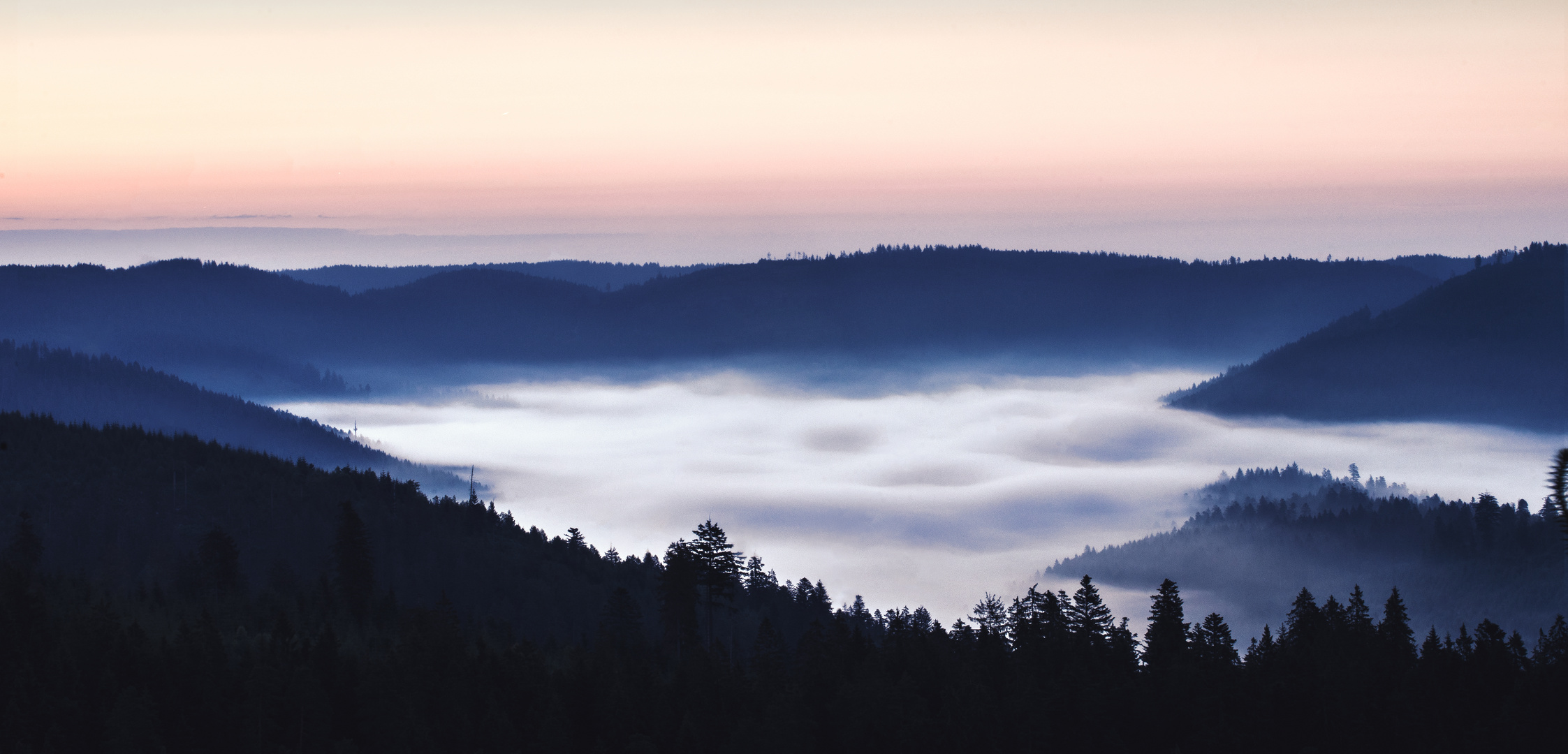 Schwarzwald nach der blauen Stunde