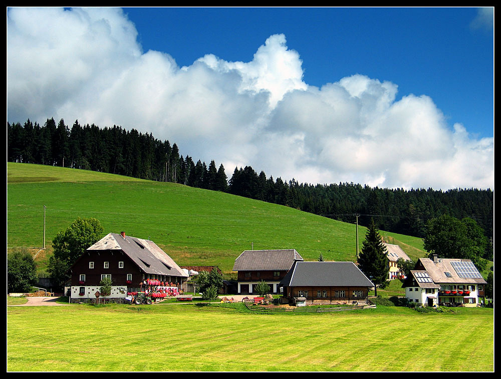 Schwarzwald, Neustadt