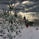 Schwarzwald ohne Menschenmassen 