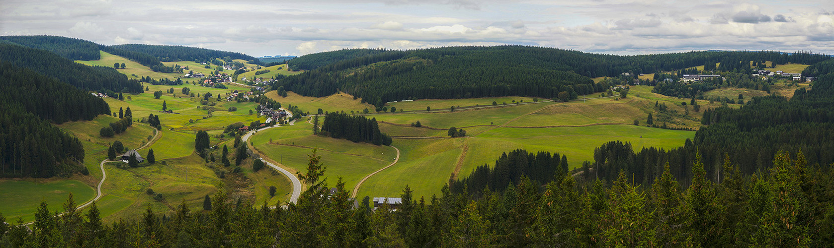 Schwarzwald Panorama