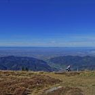 Schwarzwald Panorama #1