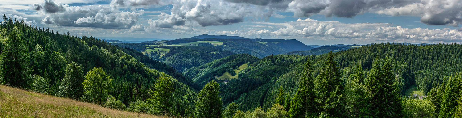 Schwarzwald Panorama