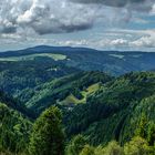 Schwarzwald Panorama