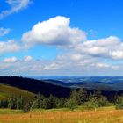 Schwarzwald Panorama