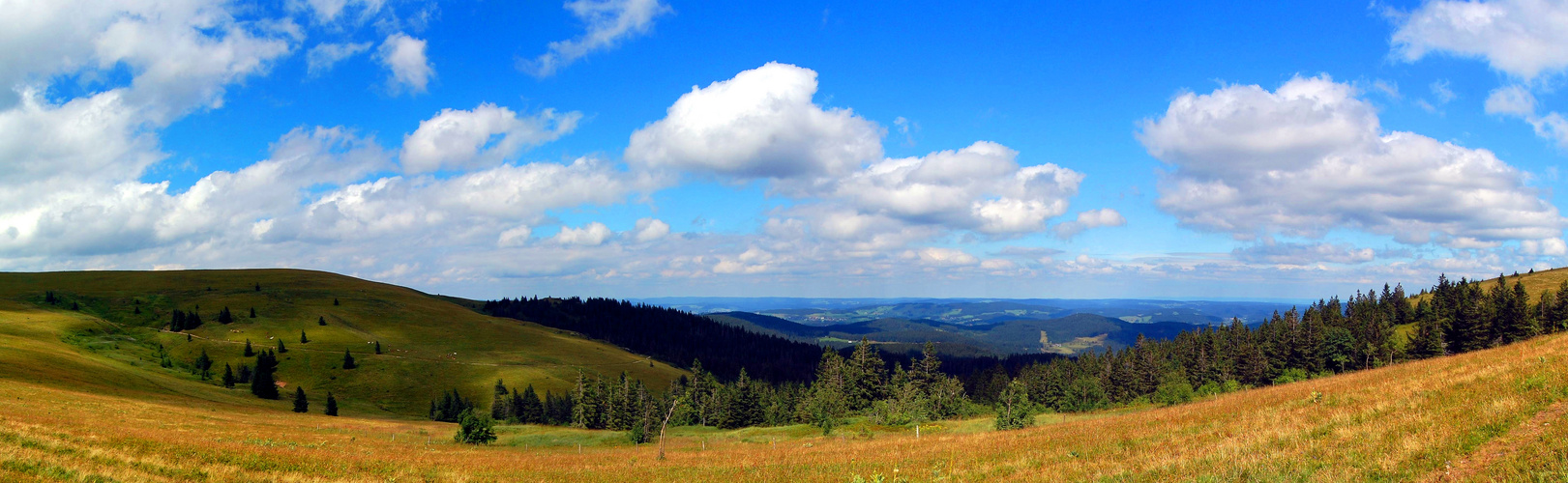Schwarzwald Panorama Foto Bild Landschaft Lebensraume Panorama Bilder Auf Fotocommunity