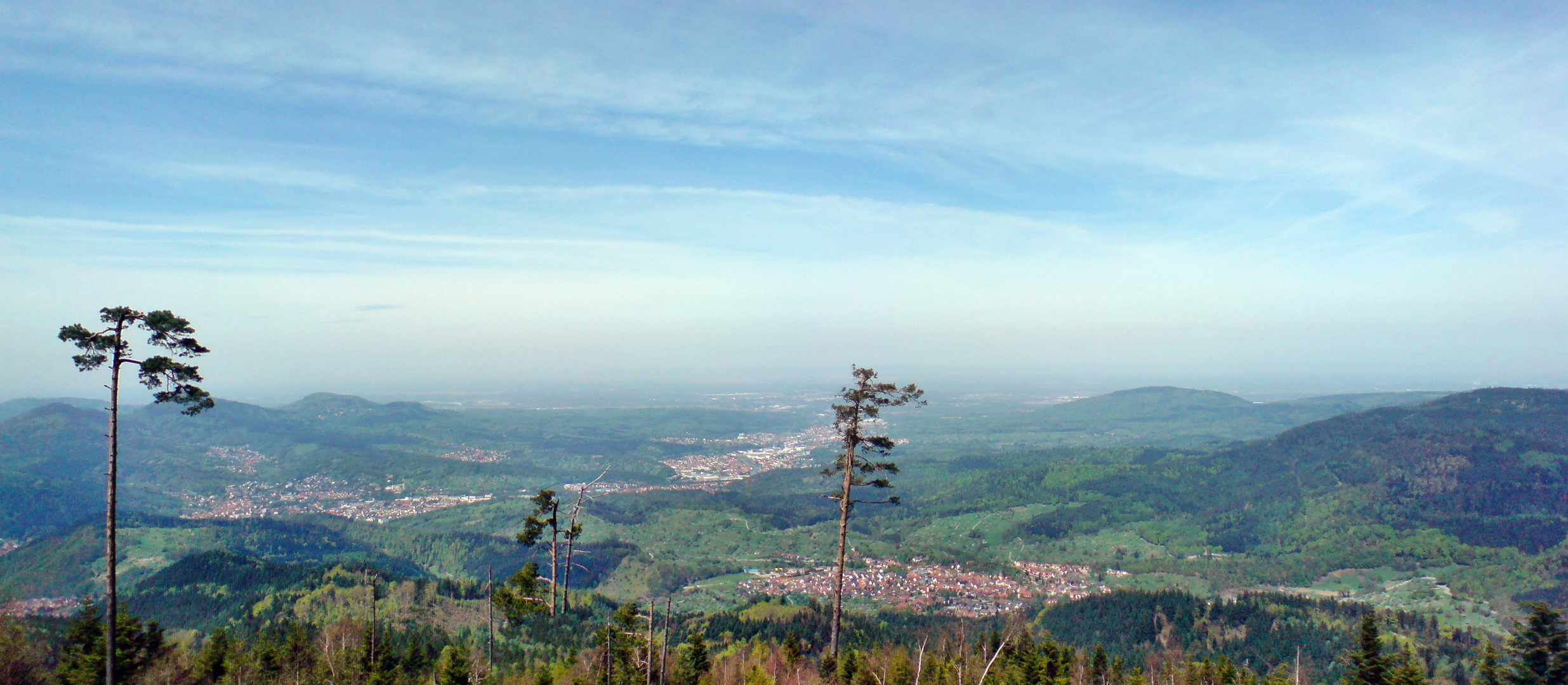 Schwarzwald Panorama April 2010