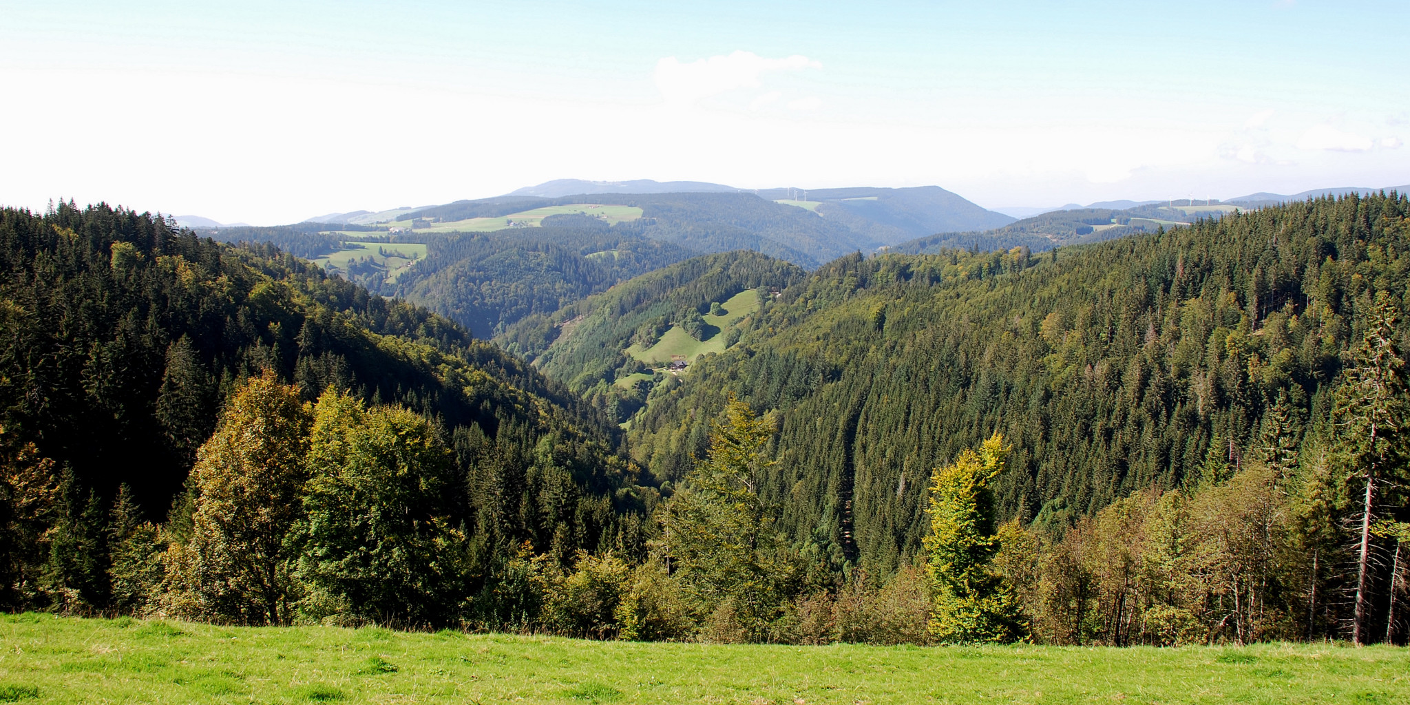 Schwarzwald-Panorama