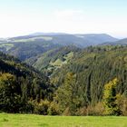 Schwarzwald-Panorama